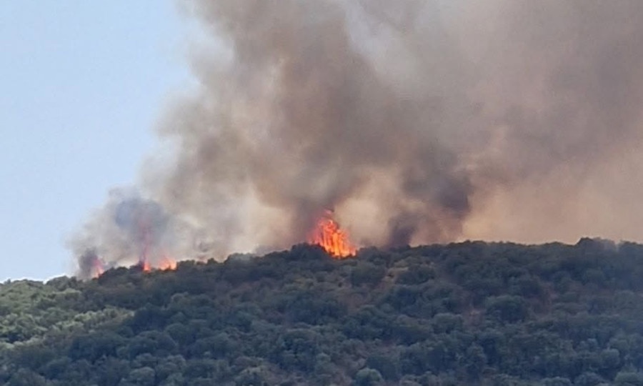 Νεκρός πυροσβέστης στο Γύθειο: Πώς πέθανε στο πεδίο ο 26χρονος υποδιοικητής