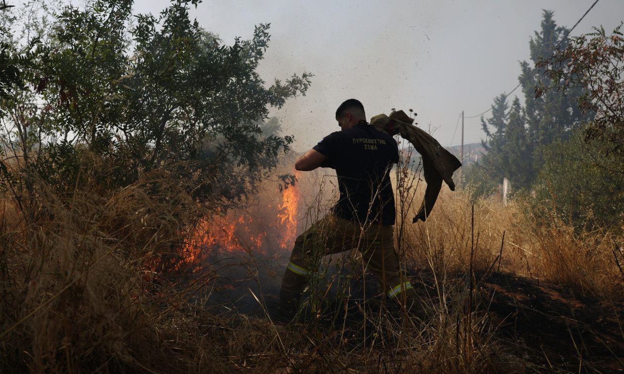 Φωτιά σε χαμηλή βλάστηση στην Ελασσόνα Θεσσαλίας – Επιχειρούν και εναέρια μέσα