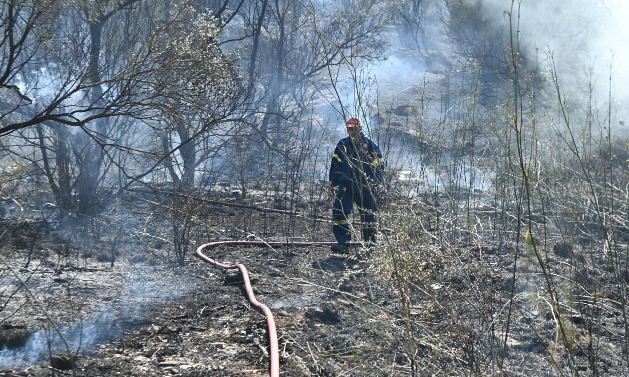 Φωτιά στο Ρέθυμνο: Περίπου 45.000 στρέμματα έχουν καεί από χθες