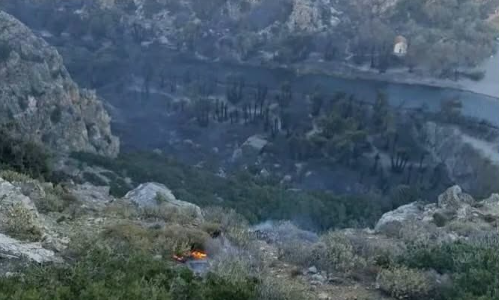 Φωτιά στο Ρέθυμνο: Πληροφορίες ότι κάηκε πάνω από το 80% του φοινικόδασους στην Πρέβελη