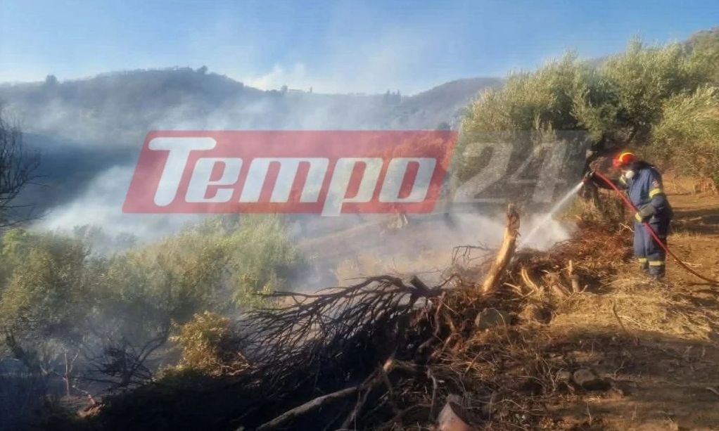 Αχαΐα: Ενισχύθηκαν οι δυνάμεις για τη φωτιά στην περιοχή Φλόκα – Επιχειρούν επτά εναέρια μέσα