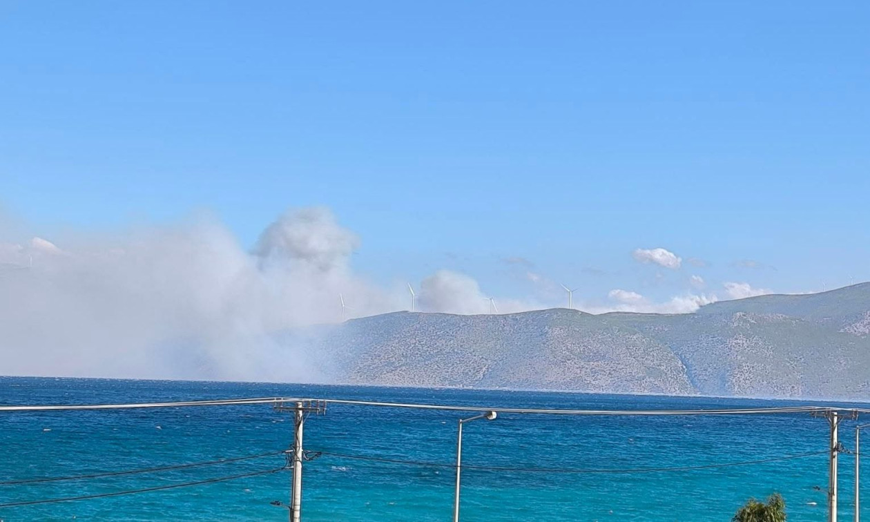 Βοιωτία: Νέα εστία φωτιάς – Εκκενώνονται ο Άγιος Νικόλαος, η Αλυκή και ο Άγιος Βασίλειος