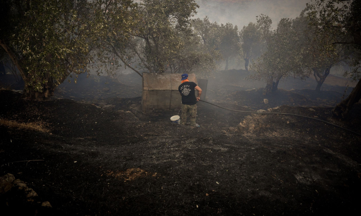 Μυτιλήνη: H φωτιά έκαψε 614 στρέμματα στο Πλωμάρι – Οι κάτοικοι την αποδίδουν σε κολώνα του ΔΕΔΔΗΕ