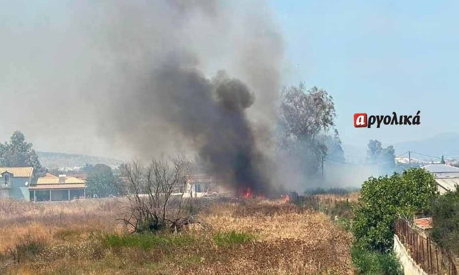 Φωτιά τώρα στη Νέα Κίο κοντά στην παραλιακή οδό