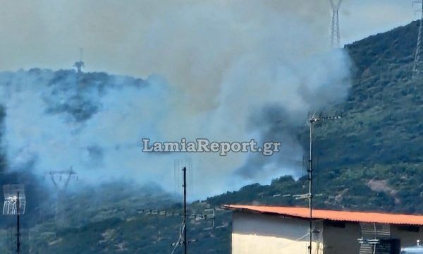 Φωτιά στην Καμηλόβρυση Λαμίας: Ήχησε το 112 – «Μείνετε σε ετοιμότητα»