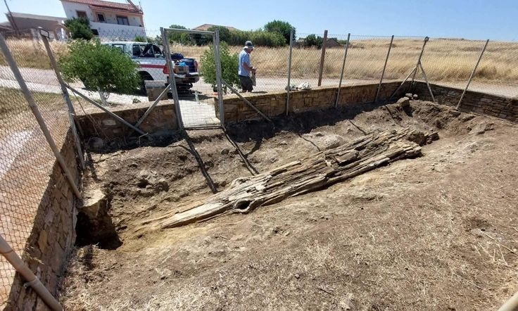 Aνάδειξη γιγάντιου απολιθωμένου κορμού δένδρου στο Βάρος Λήμνου