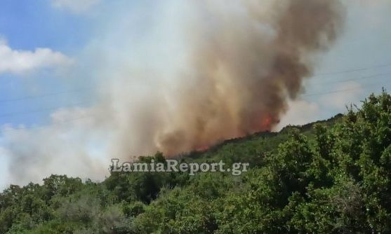 Οριοθετήθηκε η φωτιά στην Καμηλόβρυση Λαμίας – Εικόνες