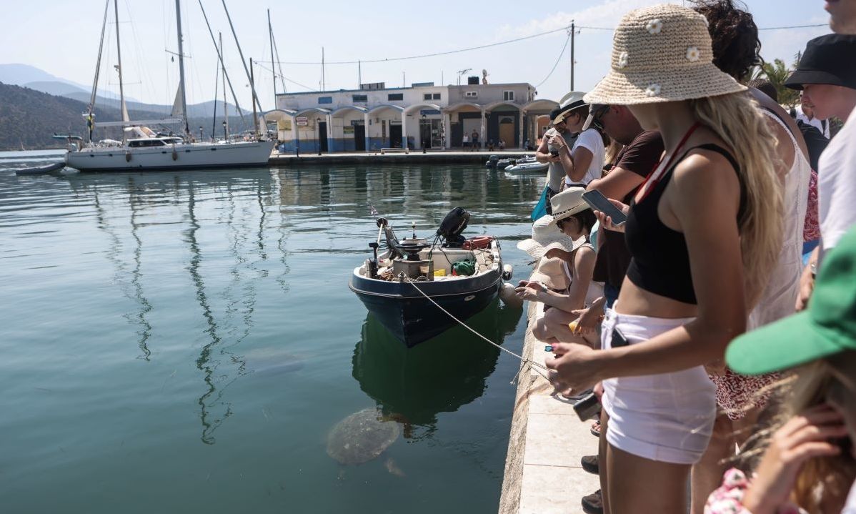 Κεφαλονιά: 48 ώρες χωρίς ρεύμα και νερό οι πυρόπληκτες περιοχές – Σε απόγνωση οι κάτοικοι