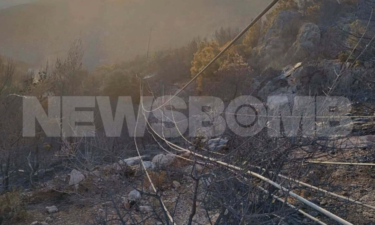 Φωτιά στην Αττικοβοιωτία: Στον ανακριτή σήμερα ο δήμαρχος Στυλίδας και ο εργολάβος