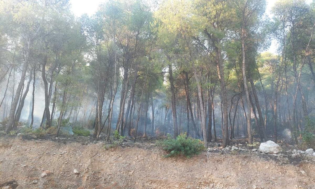 Φωτιά στη Δυτική Αττική: Πώς οι αντιπυρικές ζώνες έσωσαν τα Βίλια