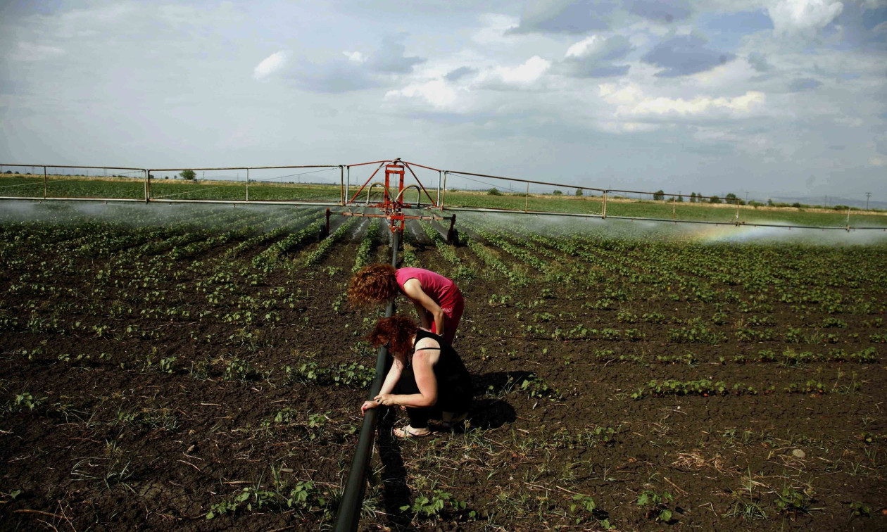 myAGRO: Άνοιξε η πλατφόρμα για την Ενιαία Αίτηση Ενίσχυσης του 2026
