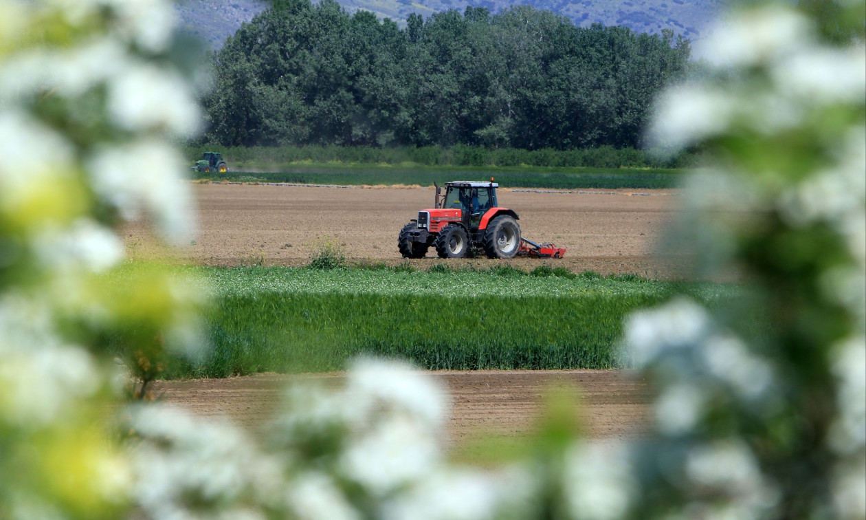 Αγρότες: Ενίσχυση έως 24,7 εκατ. ευρώ στους πληγέντες παραγωγούς – Άνοιξε η πλατφόρμα για αιτήσεις