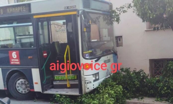 1754970-9521cc54-aigio.jpg