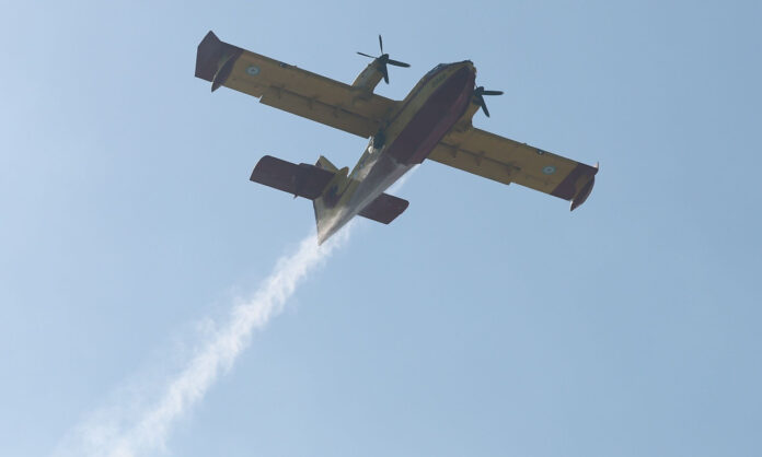 1755302-7016436.jpg