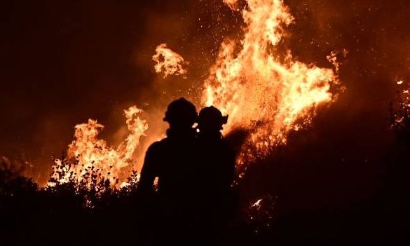 Φωτιά στη Χαλκίδα – Καίει σε περιοχή με χαμηλή βλάστηση