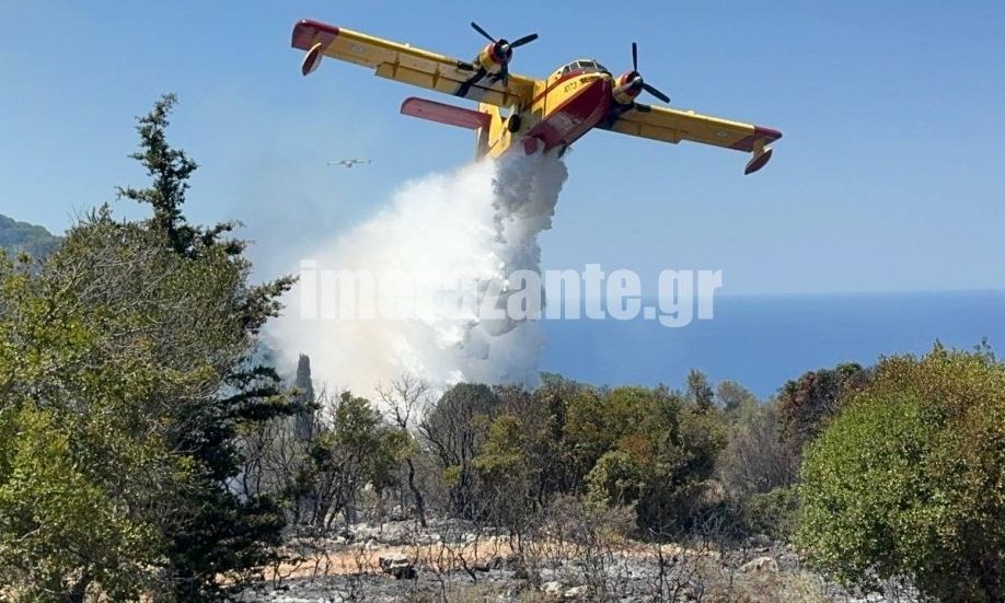 Ζάκυνθος: Οριοθετήθηκε η φωτιά στις Βολίμες – Δύο συλλήψεις για την πυρκαγιά στον Μαραθιά