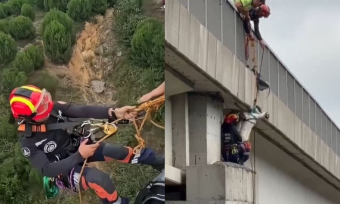 Τουρκία: Βίντεο από την επιχείρηση διάσωσης κατσίκας από πυλώνα γέφυρας