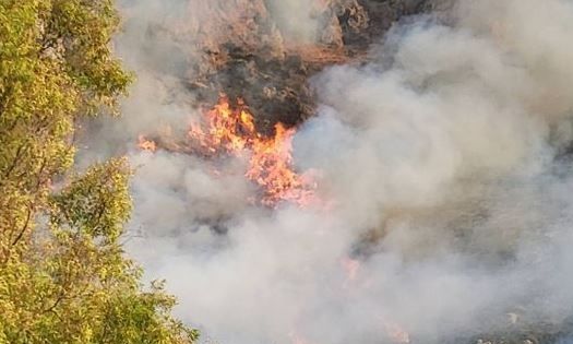 Φωτιά στην Κω – Συνδράμουν τρία εναέρια μέσα