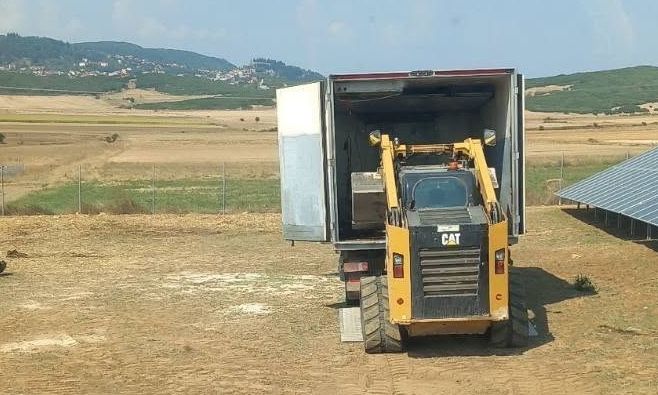Δομοκός: Αγέλη λύκων επιτέθηκε σε κοπάδι – Περισσότερα από 30 πρόβατα νεκρά