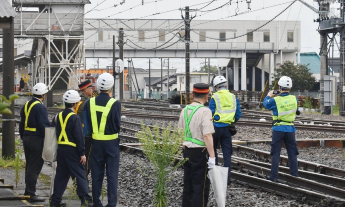 1757844-2caaf2fa-tokio.png