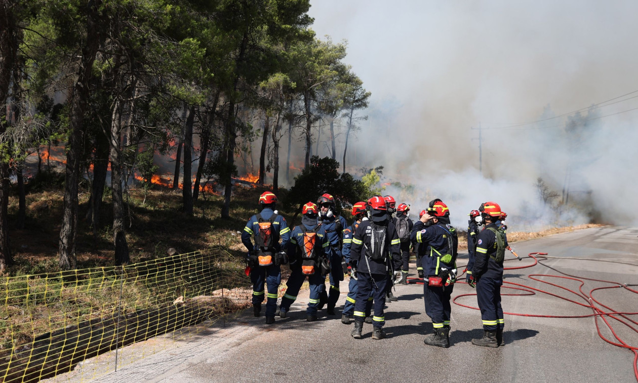 Υπό μερικό έλεγχο η φωτιά στην Πρώτη Σερρών