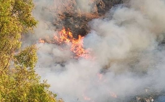 Φωτιά τώρα στην Ελάτεια Φθιώτιδας – Ήχησε το 112 για ετοιμότητα