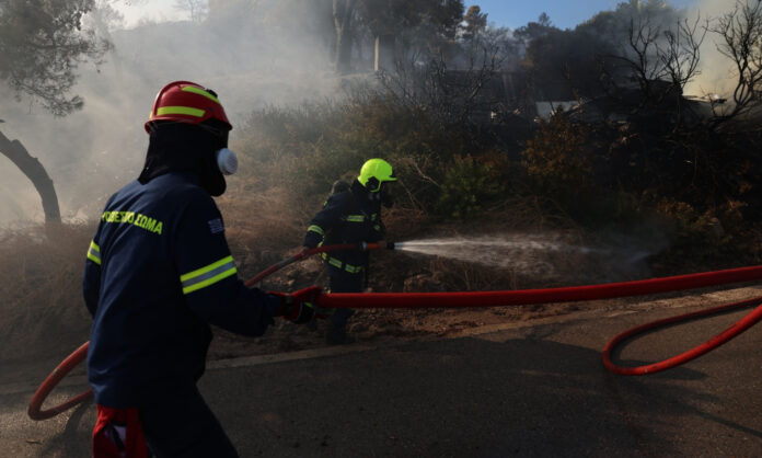 1758637-9ef695aa-fotia-salamina.jpg