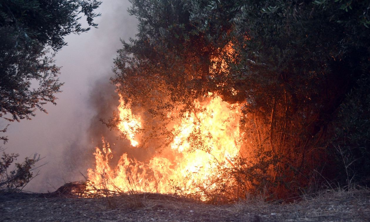 Ηράκλειο: Φωτιά στους Αγίους Δέκα του Δήμου Γόρτυνας – Απογειώθηκαν εναέρια μέσα