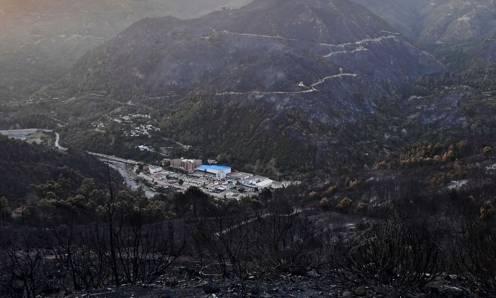Αλγερία: Τουλάχιστον 12 νεκροί από δασικές πυρκαγιές – Ένα αγόρι 8 ετών ανάμεσά τους