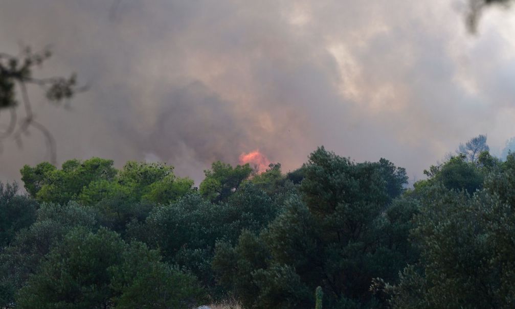 Πυρκαγιά στη Λάρισα – Καίει δασική έκταση στο Λιβάδι Ελασσόνας