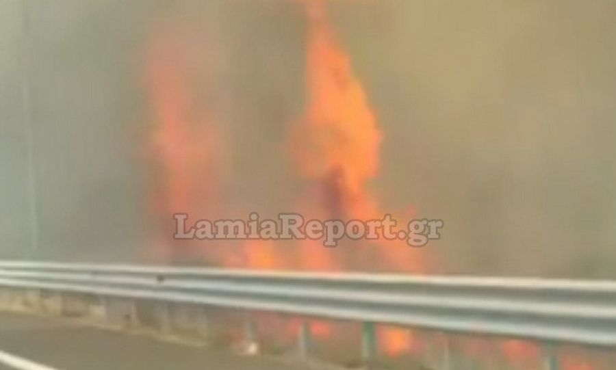 Φθιώτιδα: Φωτιά στις Ράχες στην παλιά εθνική οδό – Χτύπησαν οι καμπάνες του χωριού