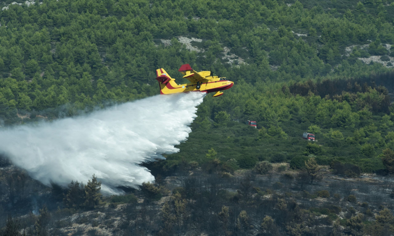 Φωτιά στην Ανάβυσσο – Επιχειρούν και εναέρια μέσα