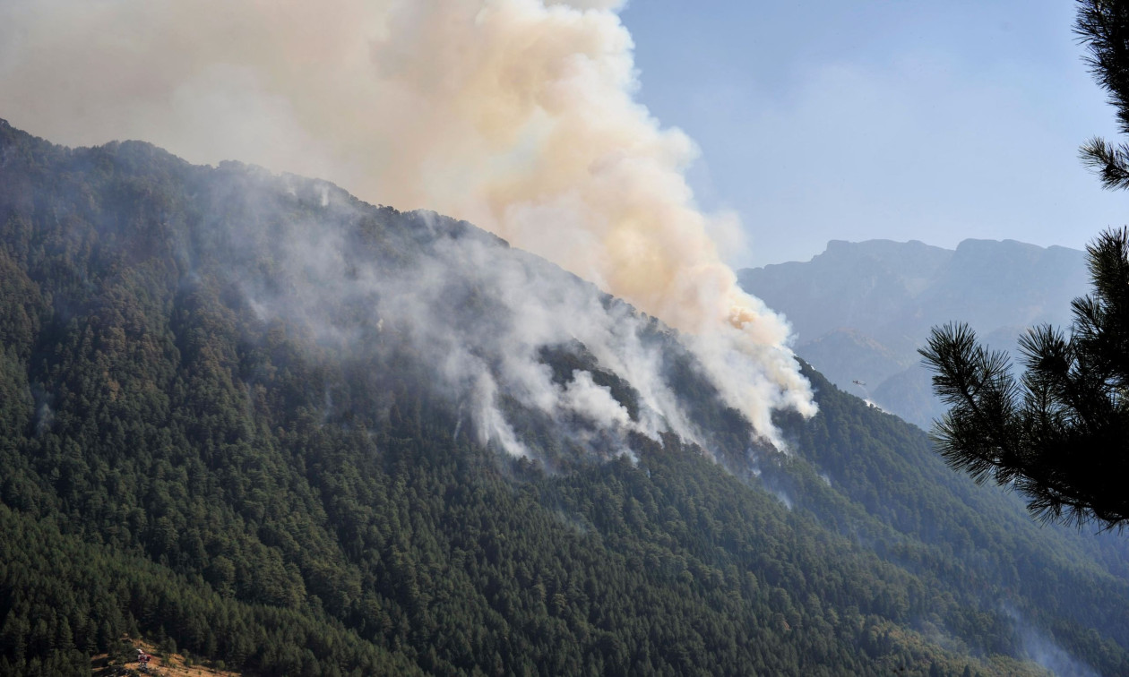 Φωτιά Κόνιτσα: Μάχη με τις αναζωπυρώσεις –  Στη χαράδρα του Αώου το βάρος της επιχείρησης