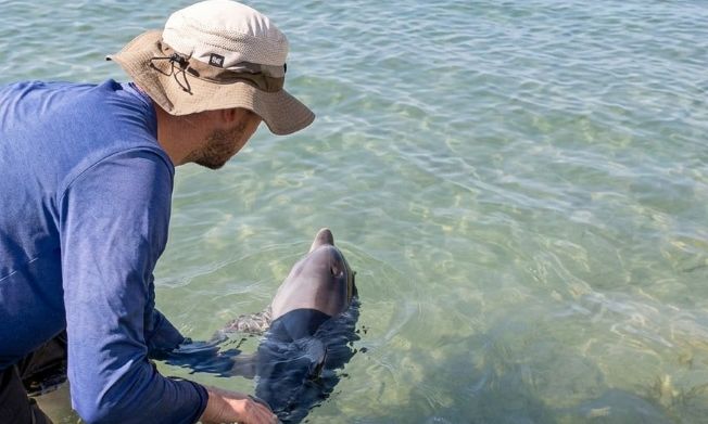 Kέρκυρα: Επιχείρηση διάσωσης δελφινιού σε παραλία του νησιού – Δεν κατάφερε να επιβιώσει