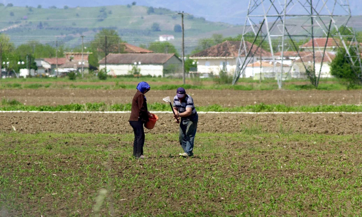 Νόμιμη μετανάστευση: 64.095 εγκρίσεις μετακλήσεων στην Ελλάδα το πρώτο οκτάμηνο του 2026