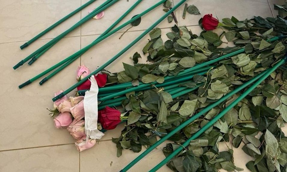 ΑΑΔΕ – Έκρυβαν 84 κιλά κοκαΐνης από την Κολομβία μέσα σε τριαντάφυλλα σε Μαραθώνα και Αρτέμιδα