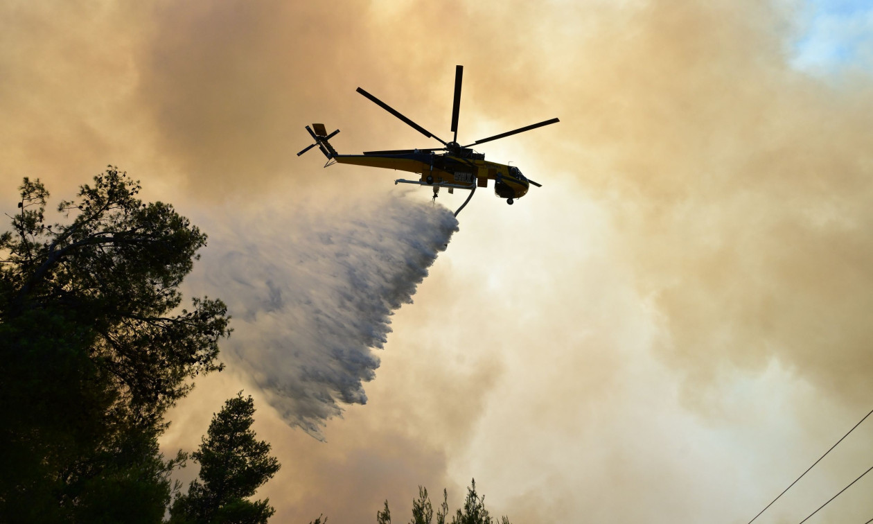Τρίκαλα: Φωτιά στο Αγιόφυλλο – Μήνυμα από το 112 για ετοιμότητα