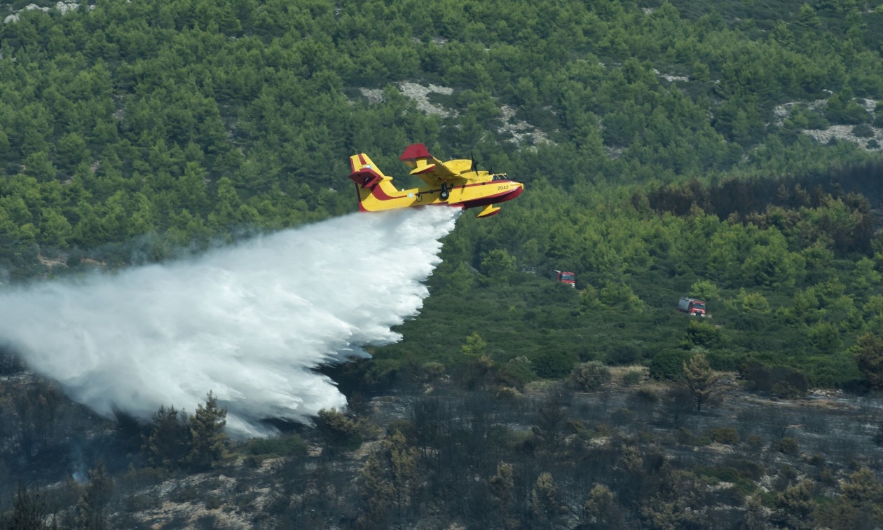 Φωτιά στην περιοχή Φλόκα Αχαΐας – Επιχειρούν και τέσσερα εναέρια μέσα