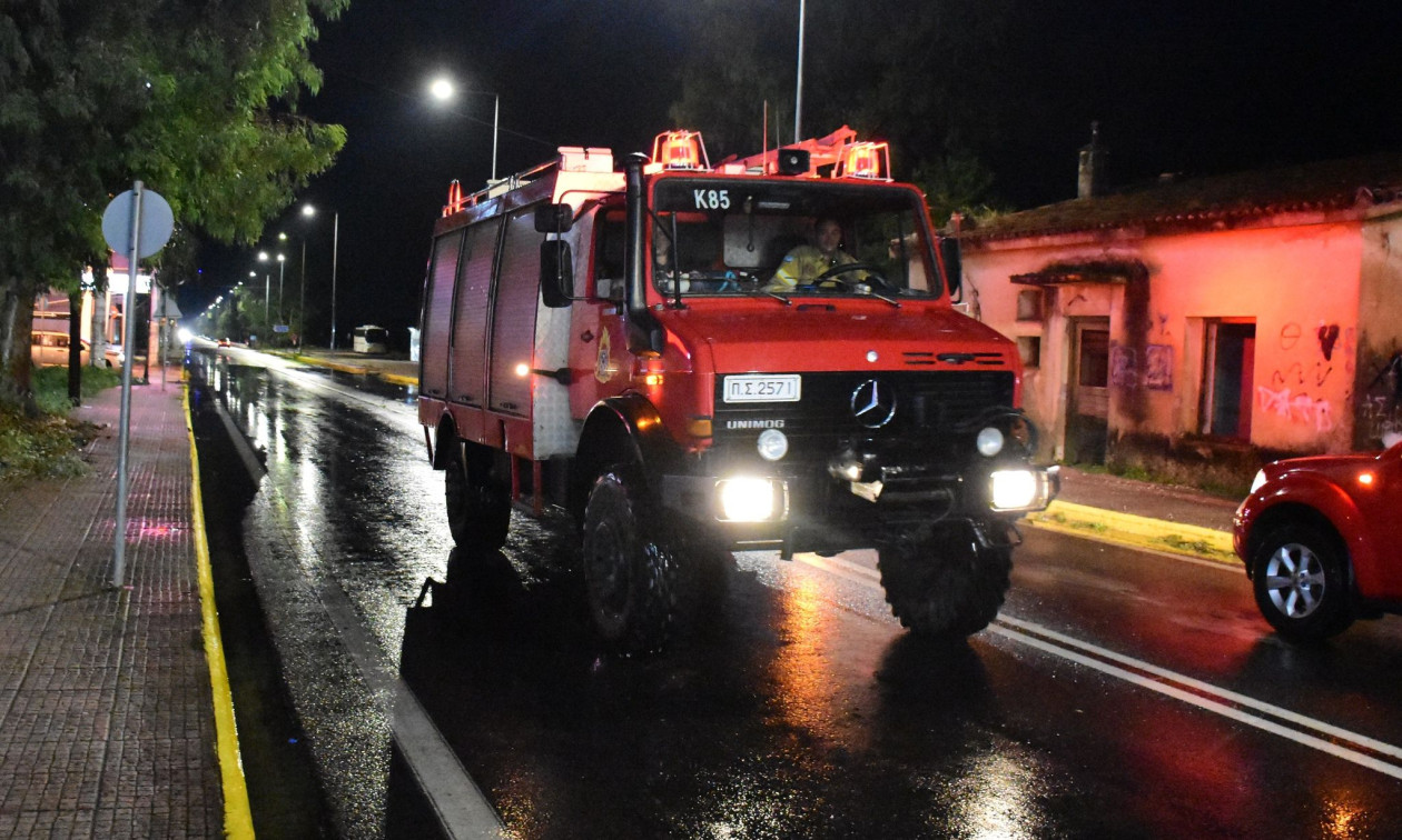 Θεσσαλονίκη: Πτώση δέντρου σε πάρκο στην Καλαμαριά – Αναφορές για τραυματίες