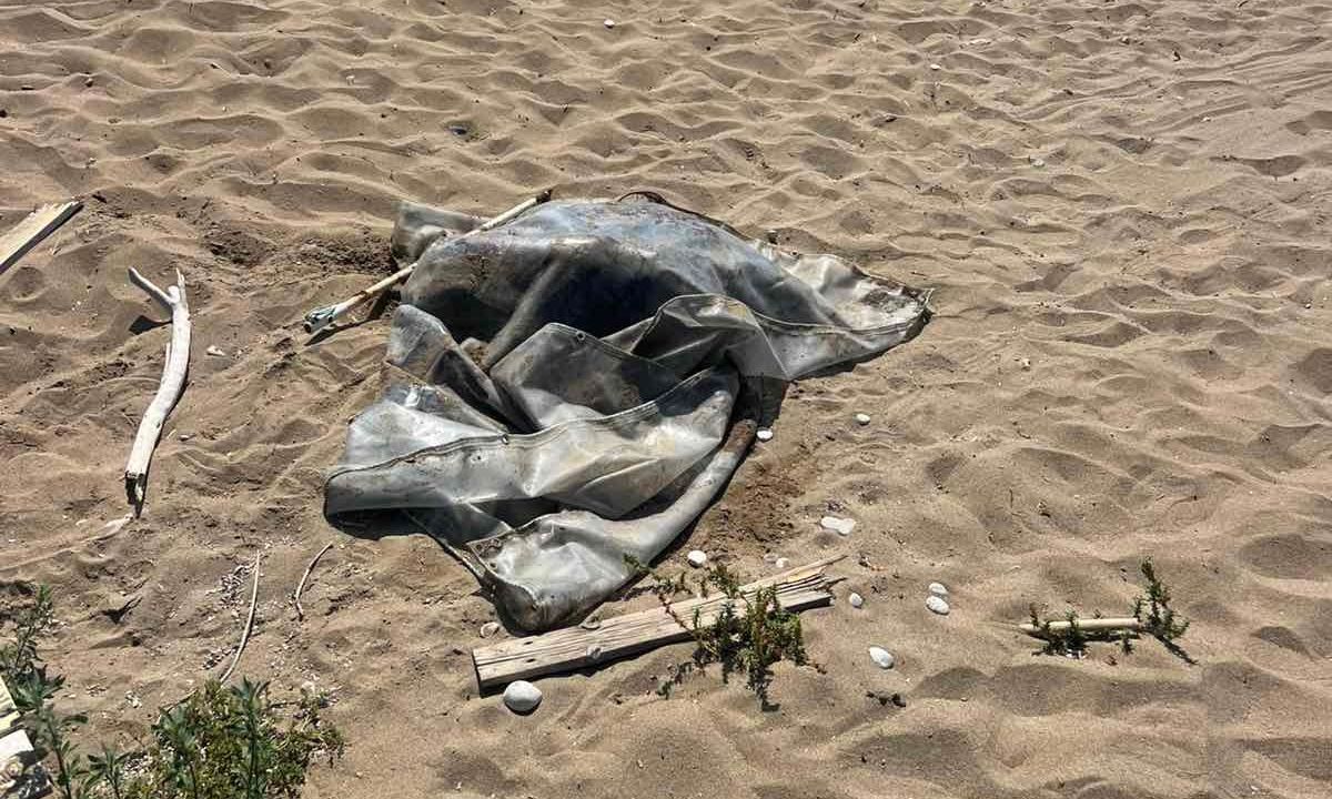 Κέρκυρα: Νεκρή χελώνα στον Άγιο Γόρδιο – Δεν την έχει μαζέψει κανείς