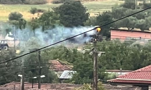 Κεραυνός χτύπησε πλάτανο κοντά σε φωλιά πελαργών στον Πλάτανο Τρικάλων