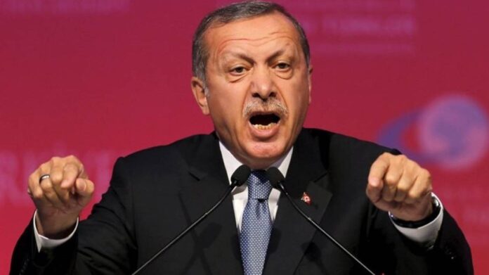 1764061-erdoga.jpg