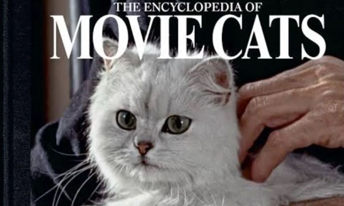 «The Encyclopedia of Movie Cats»: Οι γάτες της μεγάλης οθόνης αποκτούν τη δική τους εγκυκλοπαίδεια